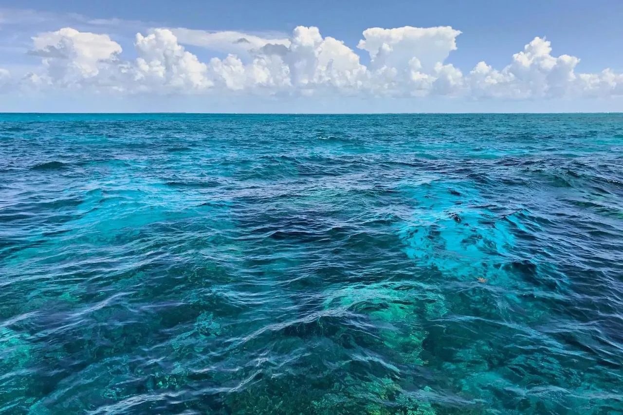 Galleria Condominiums Key West United States